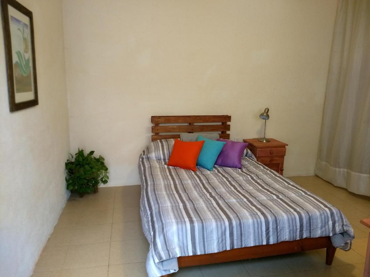 Tu Casa Oaxaca... Hotel Kültér fotó