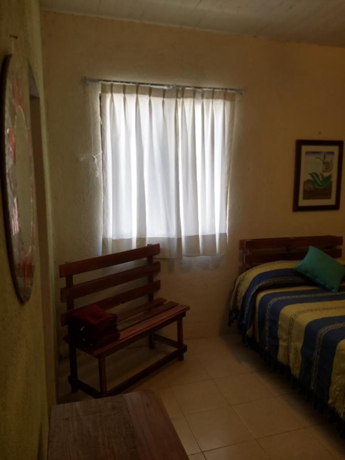 Tu Casa Oaxaca... Hotel Kültér fotó