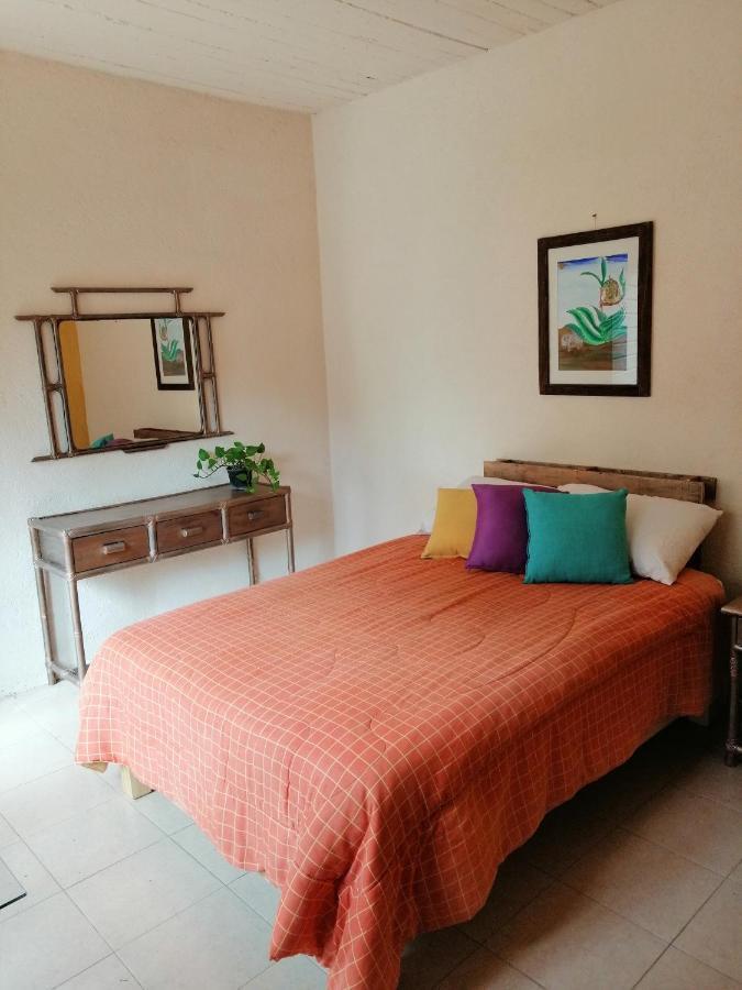 Tu Casa Oaxaca... Hotel Kültér fotó