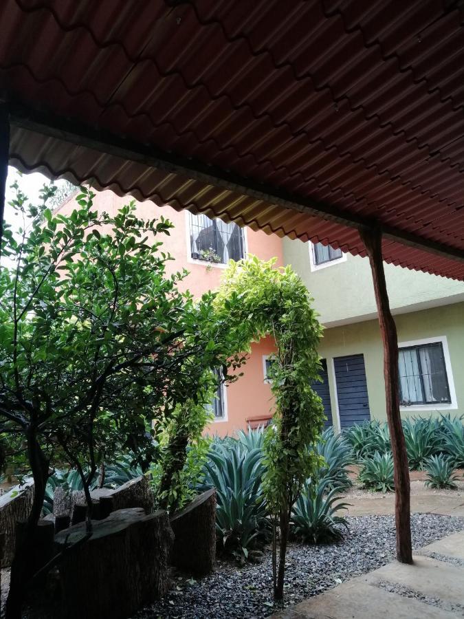 Tu Casa Oaxaca... Hotel Kültér fotó
