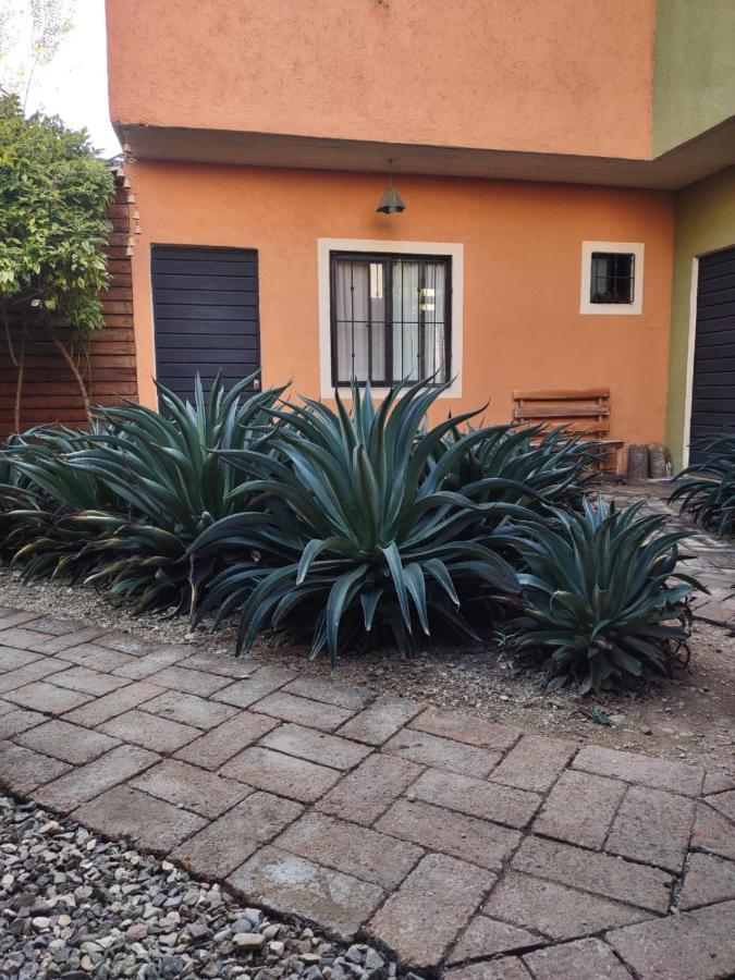 Tu Casa Oaxaca... Hotel Kültér fotó