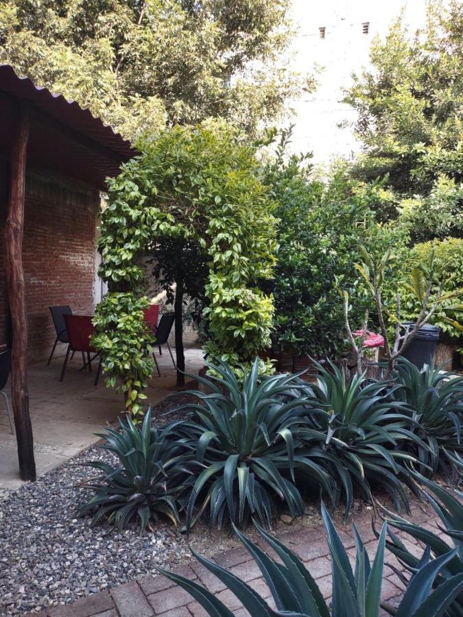 Tu Casa Oaxaca... Hotel Kültér fotó