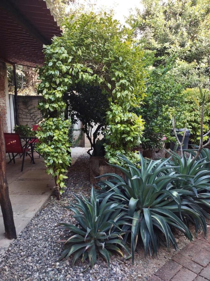 Tu Casa Oaxaca... Hotel Kültér fotó