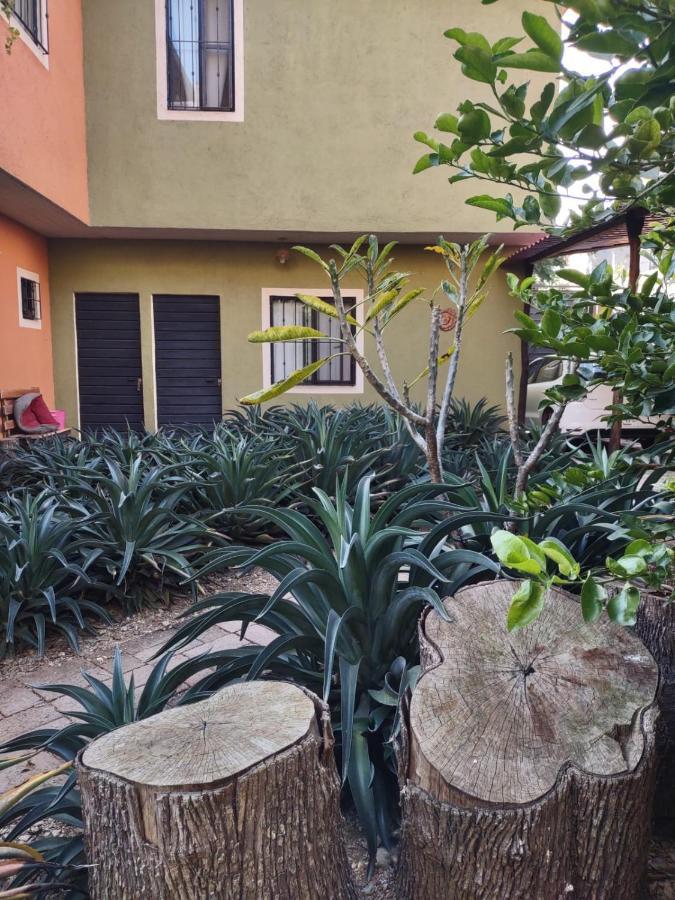 Tu Casa Oaxaca... Hotel Kültér fotó