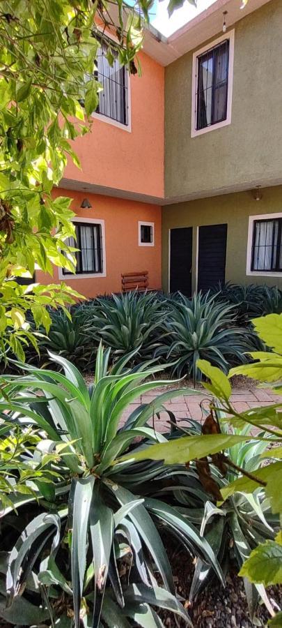 Tu Casa Oaxaca... Hotel Kültér fotó